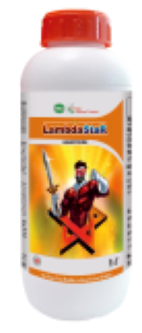 Lambda Star